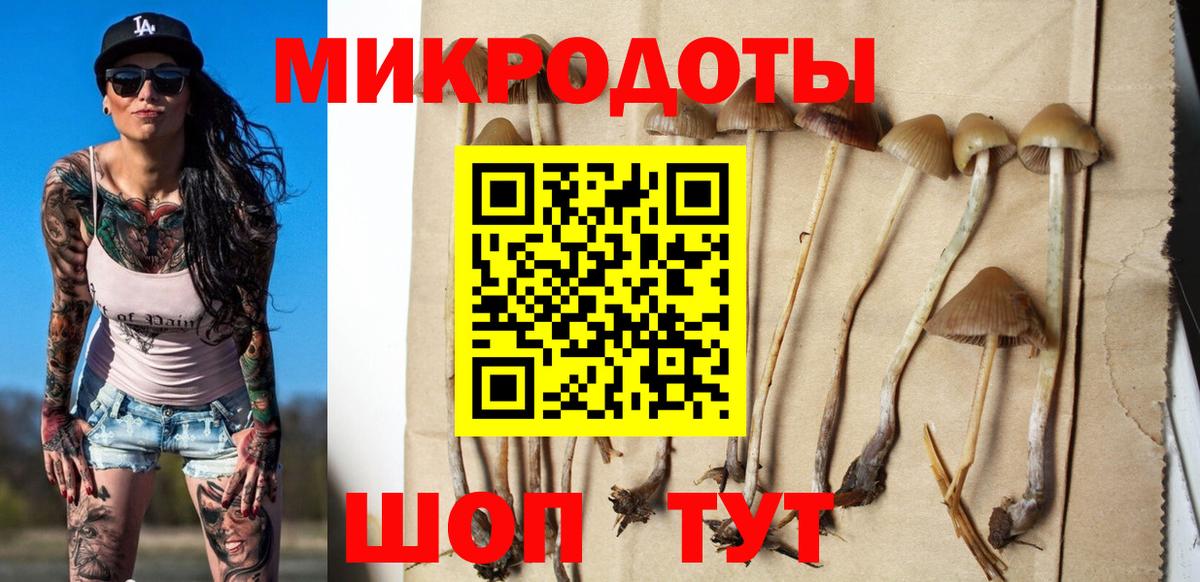 Псилоцибиновые грибы ЛСД Барнаул